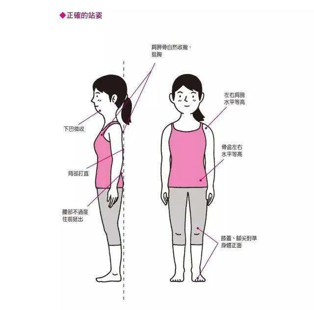 正确站姿