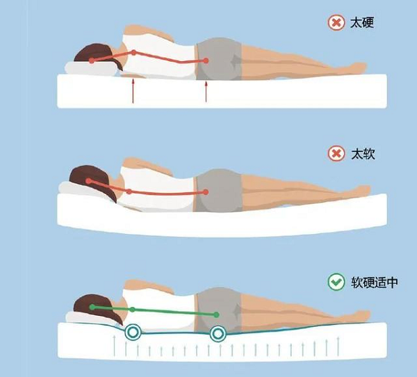 床要软硬适中 床要软硬适中