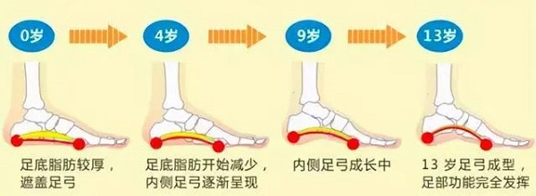 青少年足部发育