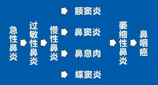 鼻炎发展过程