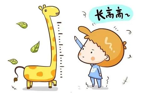 长高高