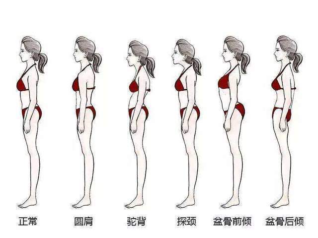 体态对比图